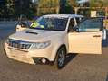 Subaru Forester Forester 2,0D X Classic X Classic Weiß - thumbnail 1