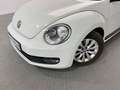 Volkswagen Beetle 1.6 Tdi 105 cv - thumbnail 29