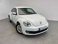 Volkswagen Beetle 1.6 Tdi 105 cv - thumbnail 5