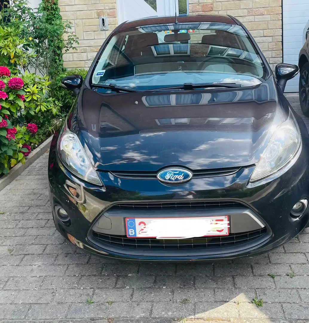 Ford Fiesta - 1