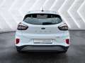 Ford Puma 1.0 EcoBoost Mild-Hybrid ''Titanium'' Navi Sitzhei Weiß - thumbnail 5