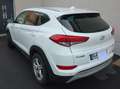 Hyundai TUCSON Tucson 1.6 Turbo 4WD DCT Advantage Bianco - thumbnail 1