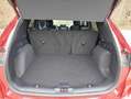 Ford Kuga ST-Line X Rot - thumbnail 8
