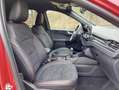 Ford Kuga ST-Line X Rot - thumbnail 6