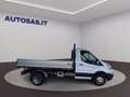 Ford Transit 350 2.0TDCi EcoBlue 130CV PM PWD Cab.Entry Bianco - thumbnail 3