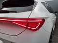 CUPRA Leon -38% 1.5 eTSI 150cv BVA+GPS+CAM+MATRIX LED+Opts Beige - thumbnail 44