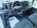 Ford Transit V363 TA Van Trd 130cv MHEV 290 L2H2 Bianco - thumbnail 5