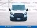 Ford Transit V363 TA Van Trd 130cv MHEV 290 L2H2 Bianco - thumbnail 4