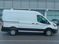 Ford Transit V363 TA Van Trd 130cv MHEV 290 L2H2 Bianco - thumbnail 12