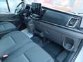 Ford Transit V363 TA Van Trd 130cv MHEV 290 L2H2 Bianco - thumbnail 8