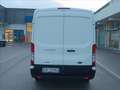 Ford Transit V363 TA Van Trd 130cv MHEV 290 L2H2 Bianco - thumbnail 13
