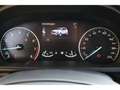 Ford EcoSport 1.0 EcoBoost Titanium Apple CarPlay Android Auto K Grau - thumbnail 11