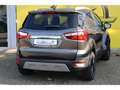 Ford EcoSport 1.0 EcoBoost Titanium Apple CarPlay Android Auto K Grau - thumbnail 5