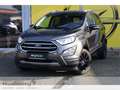 Ford EcoSport 1.0 EcoBoost Titanium Apple CarPlay Android Auto K Grau - thumbnail 1