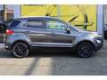 Ford EcoSport 1.0 EcoBoost Titanium Apple CarPlay Android Auto K Grau - thumbnail 8