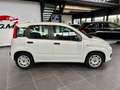 Fiat Panda 1.2 Pop s&s 69cv my19 Weiß - thumbnail 4