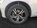 Volvo XC60 B4 R-Design / Diesel Grau - thumbnail 14