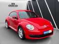 Volkswagen New Beetle Automatik Rot - thumbnail 3