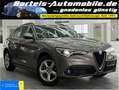 Alfa Romeo Stelvio 2.2 D Super, 1.Hd., LED, Leder, Navi Grau - thumbnail 1