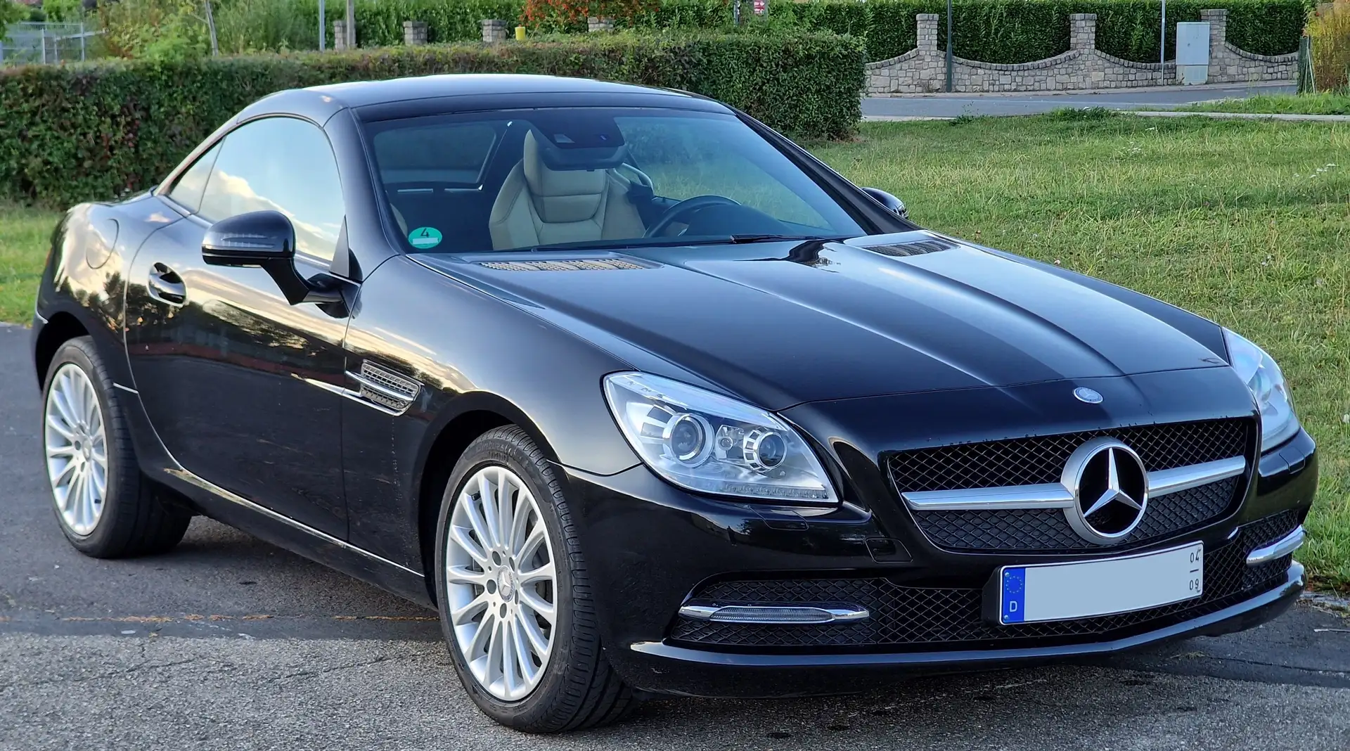 Mercedes-Benz SLK 250 SLK 250 CDI (BlueEFFICIENCY) Negru - 1