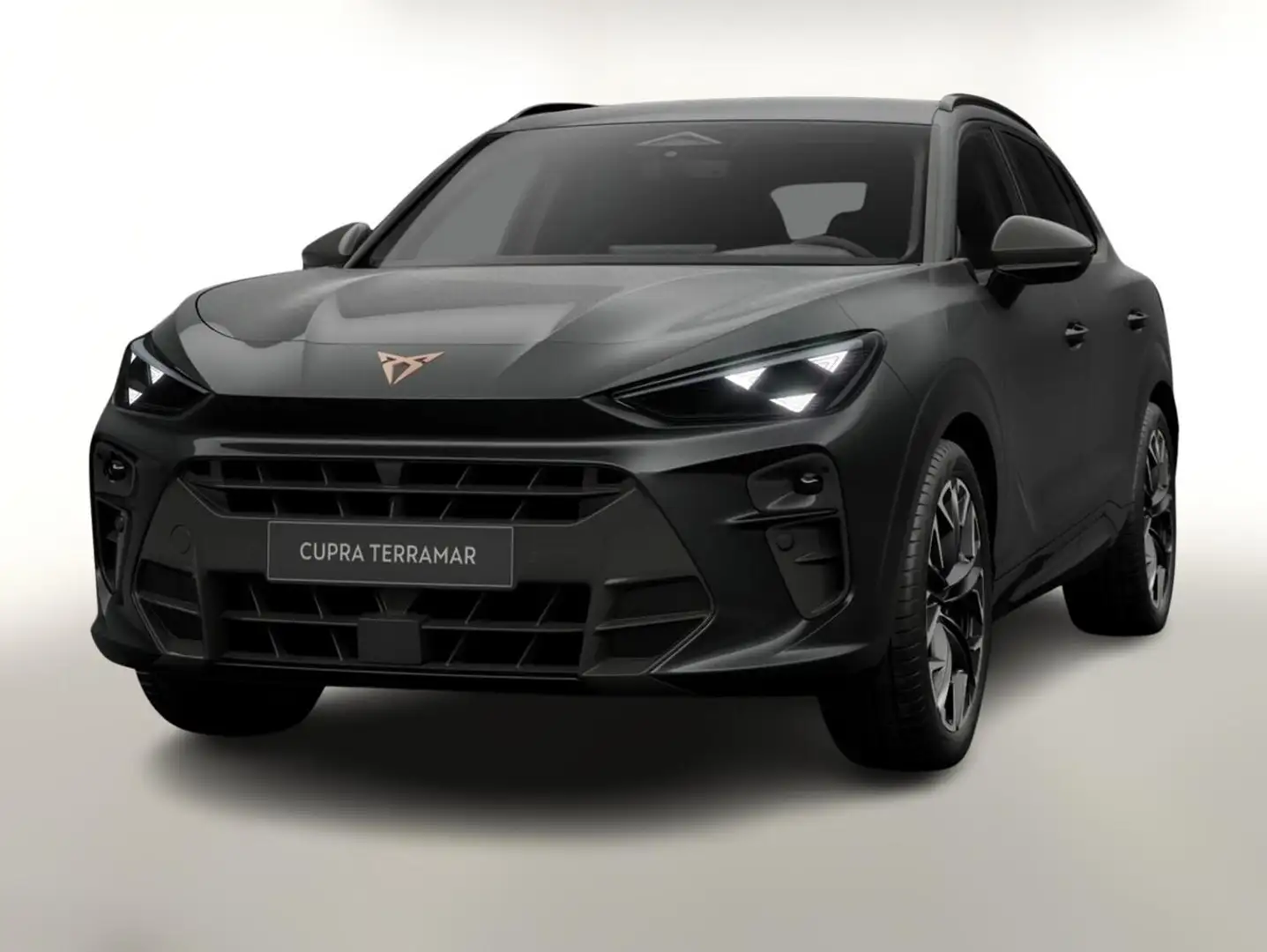 CUPRA Terramar VZ 4D Matrix Nav AHK Sennh. 20Z eHk 195 kW (265... Grau - 1