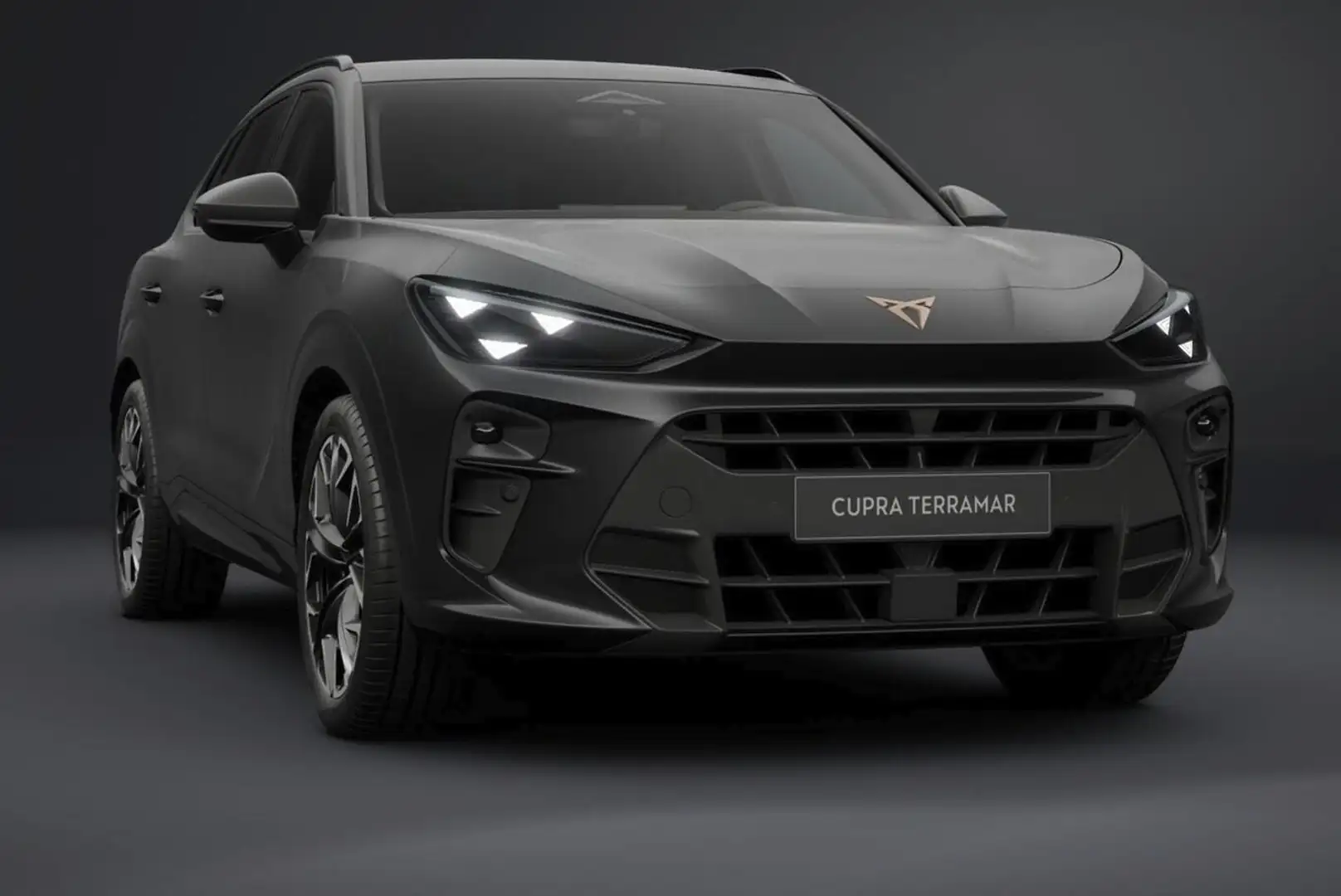 CUPRA Terramar VZ 4D Matrix Nav AHK Sennh. 20Z eHk 195 kW (265... Grau - 2
