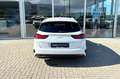 Kia Ceed SW / cee'd SW Sportswagon 1.0 T-GDi 100PK DynamicPlusLine | Navi Blanc - thumbnail 8
