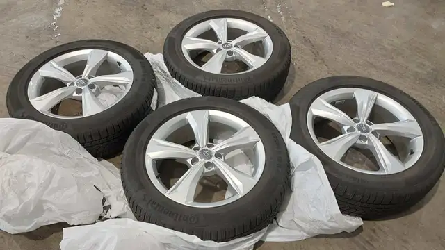 Audi Q5 view 17
