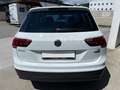 Volkswagen Tiguan 1.4 TSI | DSG | 4Motion | Navi | Kamera Weiß - thumbnail 4