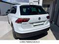Volkswagen Tiguan 1.4 TSI | DSG | 4Motion | Navi | Kamera Weiß - thumbnail 3