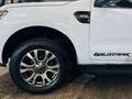 Ford Ranger 3.2TDCi Wildtrak Caméra Att Rem HardTop CarPlay Blanc - thumbnail 45