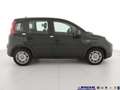 Fiat Panda 1.0 FireFly S&S Hybrid Schwarz - thumbnail 5