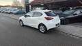 Mazda 2 als Kizoku Weiß - thumbnail 4