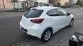 Mazda 2 als Kizoku Weiß - thumbnail 7