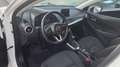 Mazda 2 als Kizoku Weiß - thumbnail 12