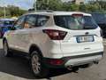 Ford Kuga 1.5 TDCI 120 CV S&S 2WD Plus SPORT Wit - thumbnail 4