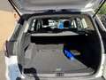 Ford Kuga 1.5 TDCI 120 CV S&S 2WD Plus SPORT Wit - thumbnail 7