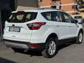 Ford Kuga 1.5 TDCI 120 CV S&S 2WD Plus SPORT Wit - thumbnail 6
