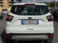 Ford Kuga 1.5 TDCI 120 CV S&S 2WD Plus SPORT Wit - thumbnail 5
