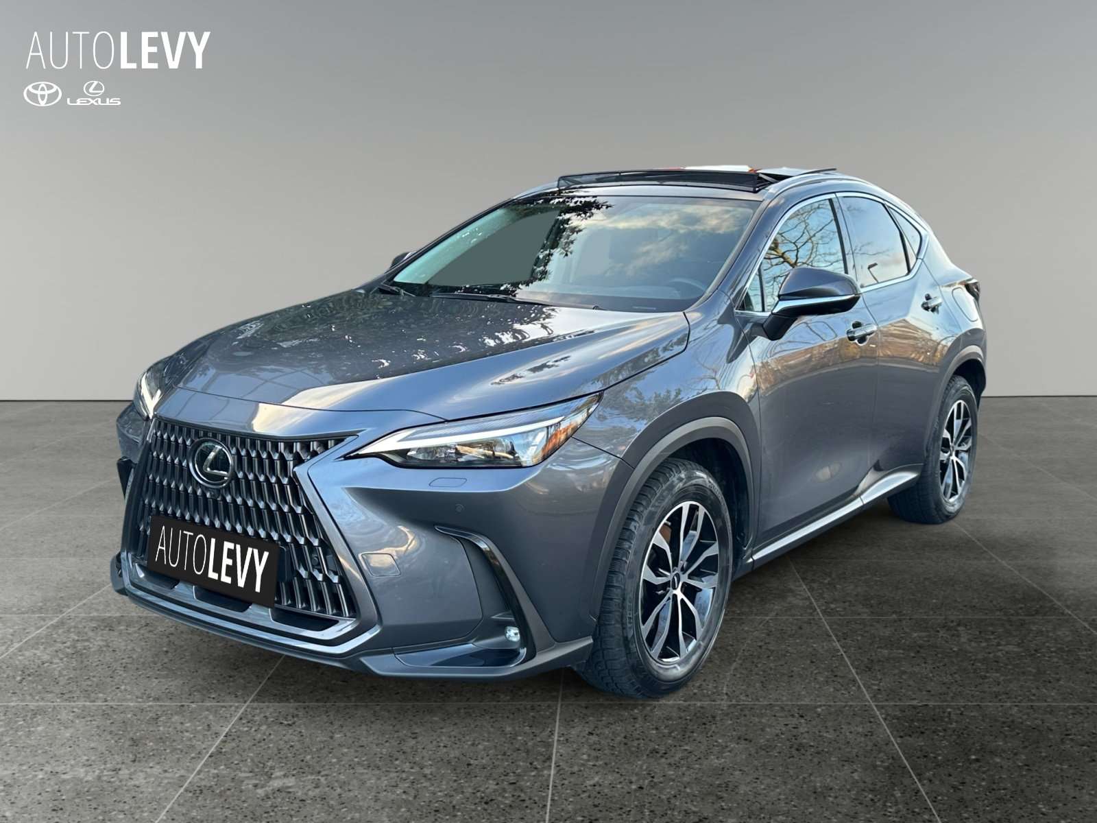 Lexus NX-Serie
