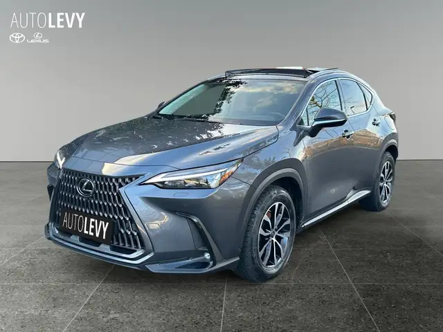 Lexus NX 350h Executive Line *PANO*360*HUD*NAVI*