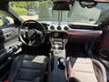 Ford Mustang 5.0 Ti-VCT V8 BULLITT, RECARO, 20“ Shelby - thumbnail 11