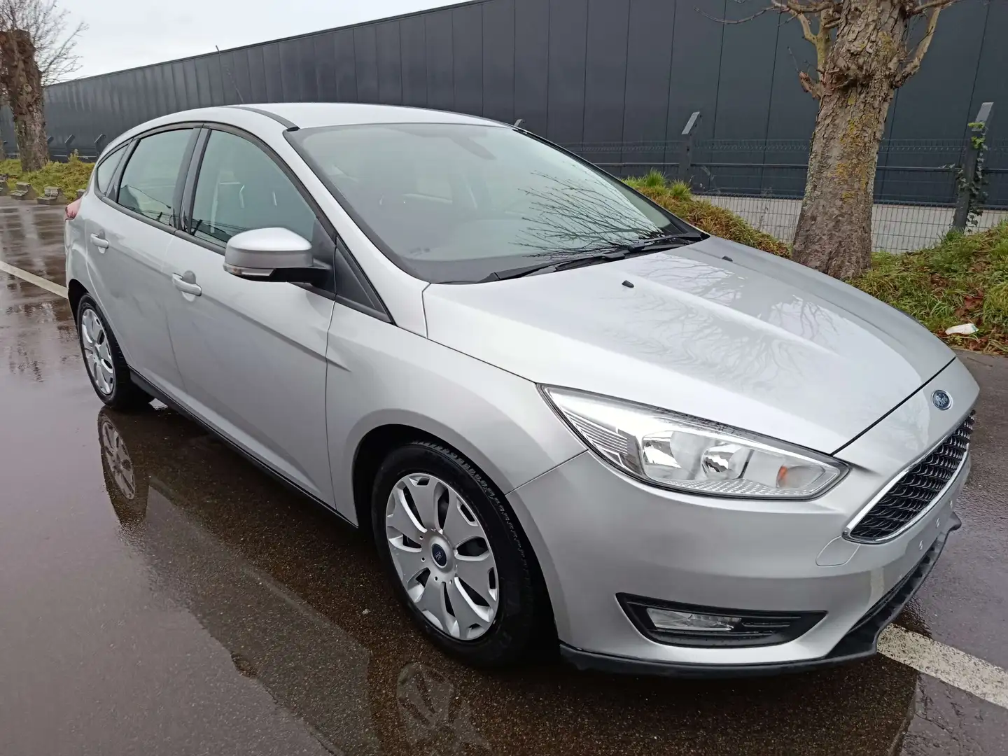 Ford Focus Focus 1.5 TDCi ECOnetic Business Class Gris - 2