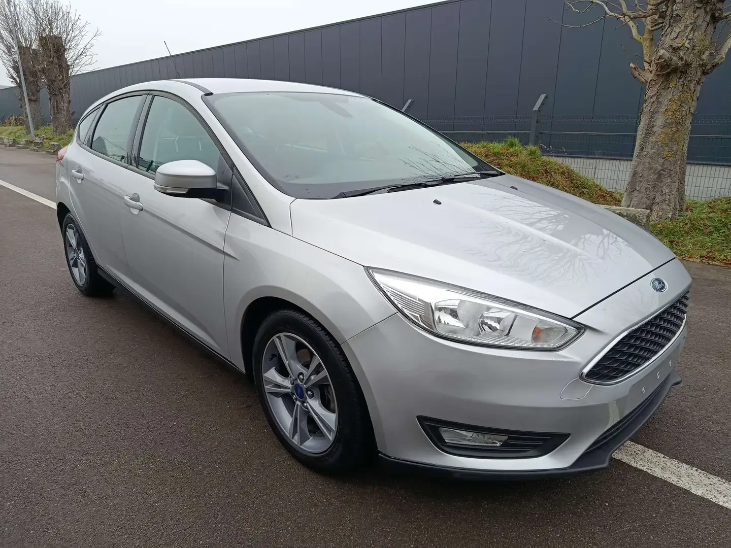 Ford Focus Focus 1.5 TDCi ECOnetic Business Class Gris - 2