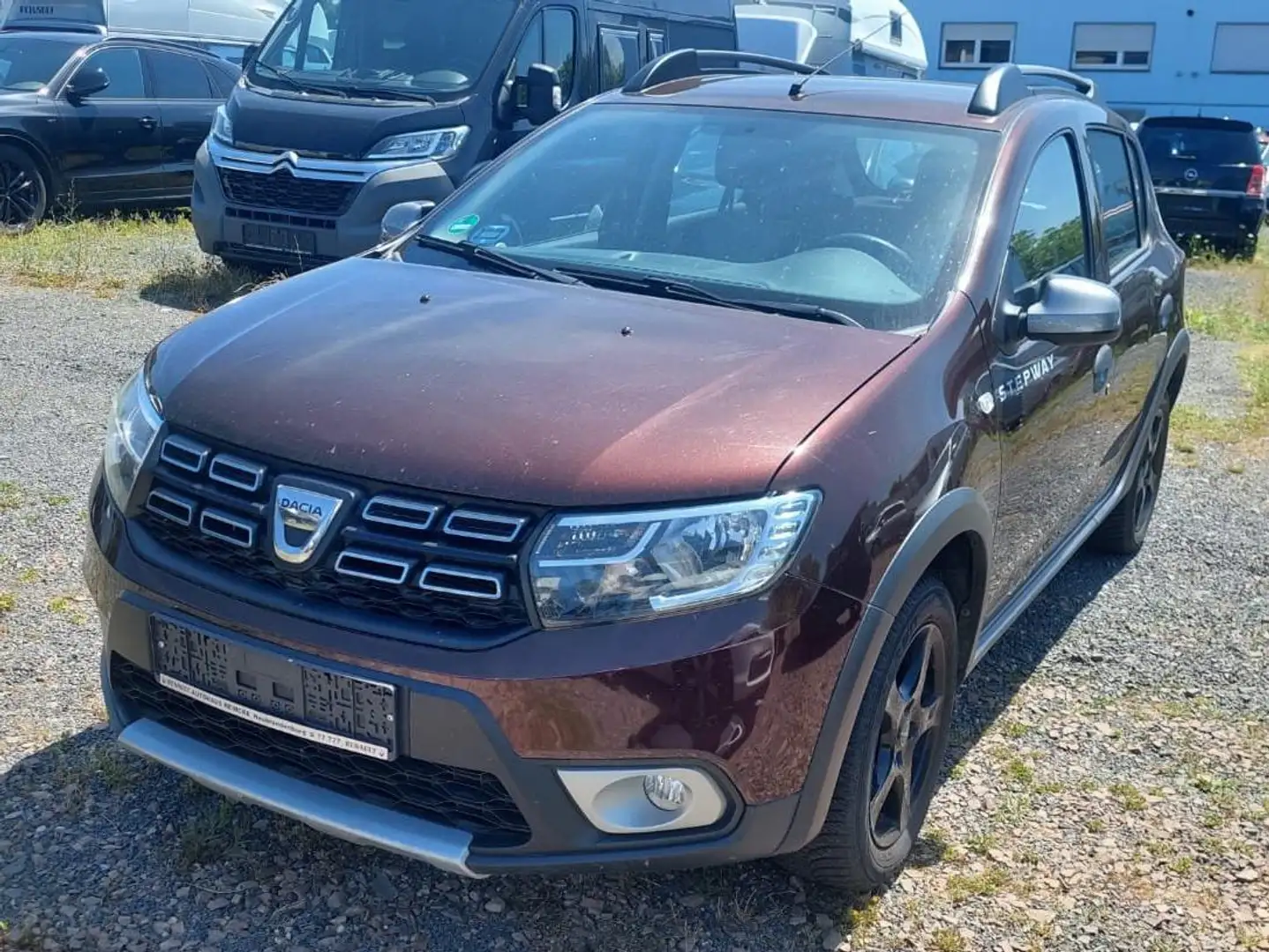 Dacia Sandero Stepway Braun - 1