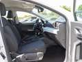 SEAT Ibiza 1.0 TGI STYLE NAVI KAMERA LED SITZH Wit - thumbnail 4