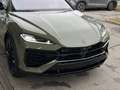 Lamborghini Urus URUS SE Grün - thumbnail 6