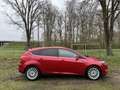 Ford Focus 1.0 EB 125PK Titanium | DISTRIBUTIE VERVANGEN | EE Rot - thumbnail 6