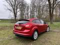 Ford Focus 1.0 EB 125PK Titanium | DISTRIBUTIE VERVANGEN | EE Rot - thumbnail 3