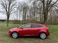 Ford Focus 1.0 EB 125PK Titanium | DISTRIBUTIE VERVANGEN | EE Rot - thumbnail 4
